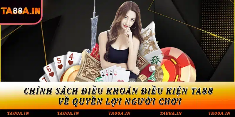 Chính sách điều khoản điều kiện TA88 về quyền lợi người chơi