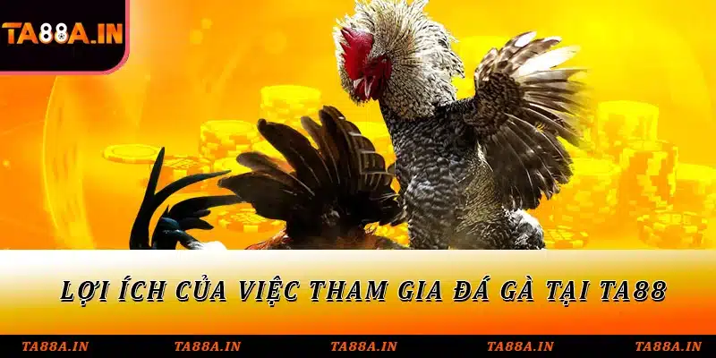 Lợi ích của việc tham gia đá gà tại TA88