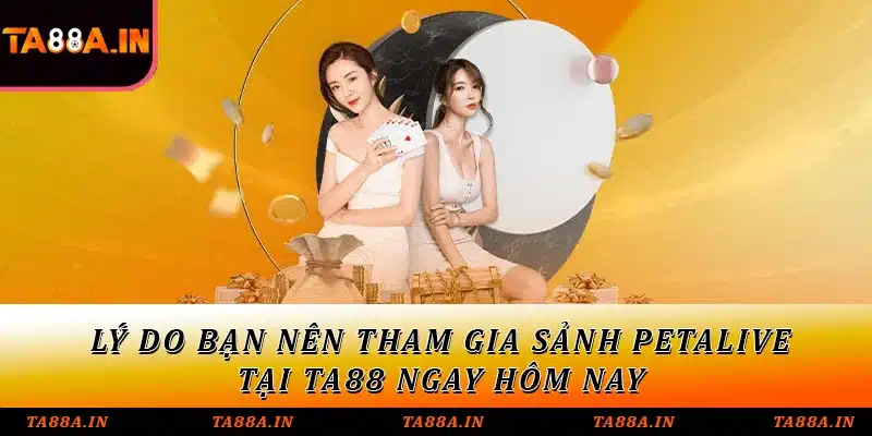 Lý do bạn nên tham gia sảnh petalive tại TA88 ngay hôm nay