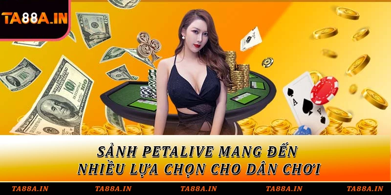 Sảnh Petalive mang đến nhiều lựa chọn cho dân chơi